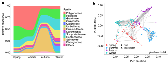 图1 放牧牦牛择食组分的季节变化（a）及其与肠道微生物的关联（b）.png