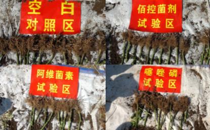 “微生物与线虫互作机制研究” 获2015年云南省自然科学特等奖.jpg