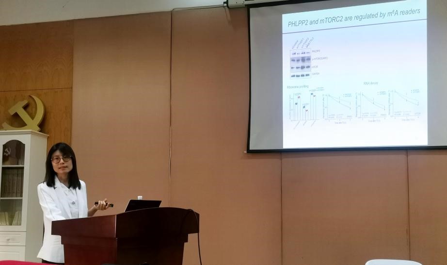 北京大学刘君研究员做客省部共建云南生物资源保护与利用国家重点实验室“滇峰学术”论坛2.jpg